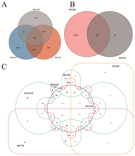 Venn diagrams for the different DEGs between each combination.