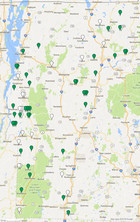 High prevalence of Lynx rufus gammaherpesvirus 1 in wild Vermont ...