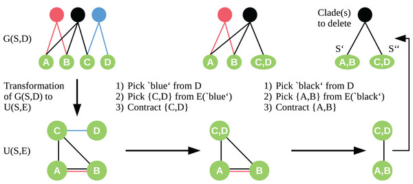 Workflow of the cut sampling algorithm (Section Cut Enumeration) including the transformation from G(S, D) to U(S, E) and the two-step edge selection process we use in the recursive contraction algorithm.