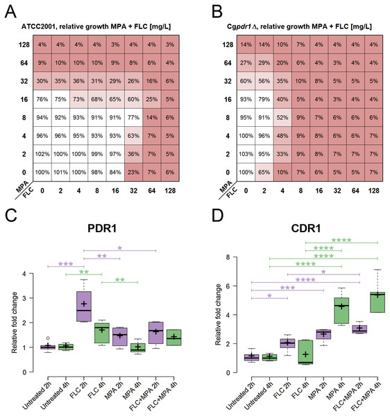 Role assessment of PDR1 and CDR1 for the antagonism in the drug combination of FLC + MPA against C. glabrata ATCC 2001.