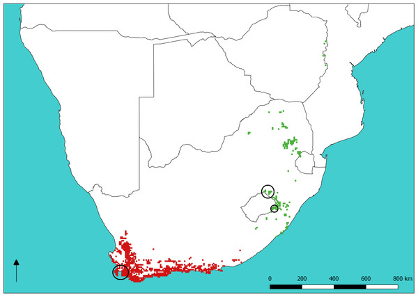 Sugarbird species distributions and sampling sites.