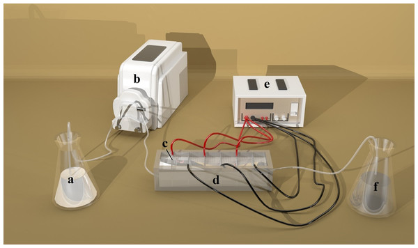 Schematic diagram of DEP apparatus.