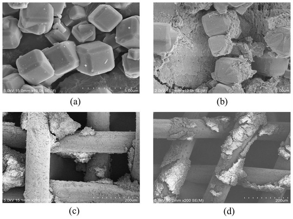 SEM images of the zeolite and electrodes after ADS-DEP process.