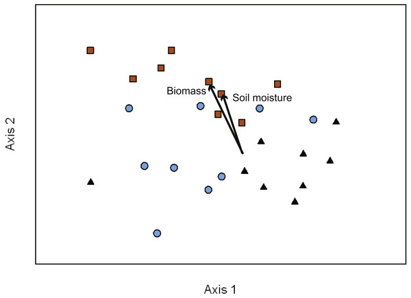 NMDS ordination of EMF communities associated with each transect (10 seedlings per transect).