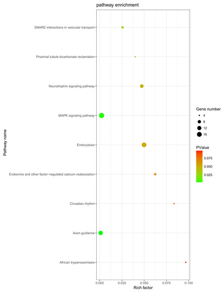 KEGG analysis.