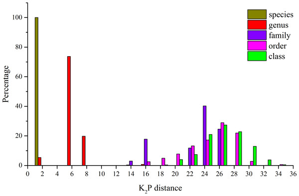 Distribution of K2P distances (percent) for mitochondrial COI at different taxonomic levels for the 41 species analyzed.