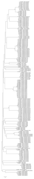 Neighbor-joining (NJ) tree of 187 COI sequences from 41 fish species, using K2P distances.