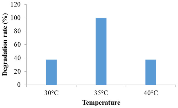 The effect of temperature on crystal violet dye degradation by Enterobacter sp. CV–S1.