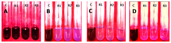 10% (v/v) of Enterobacter. sp. CV–S1 showed 150 mg/l Crystal violet dye degradation at pH 6.50 and temperature 35°C under shaking condition at different time intervals.