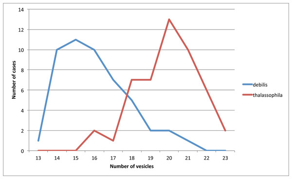 Number of observations (ordinates) for different numbers of PAO vesicles (abscissa) in T. debilis and T. thalassophila.