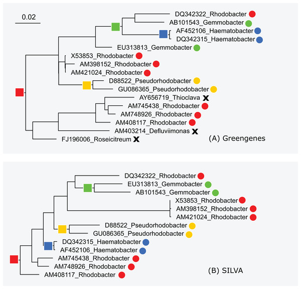 Subtrees for Rhodobacter in (A) Greengenes and (B) SILVA.