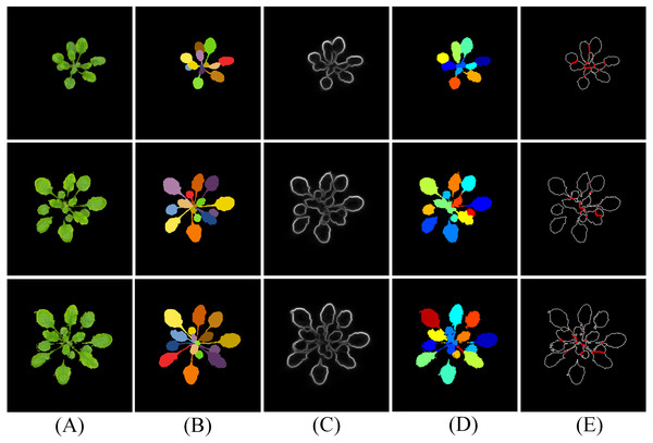 Results of leaf segmentation on CVPPP A1 subset.