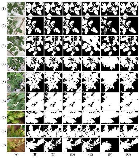 Results of five plant segmentation methods on three tomato plant image sets.