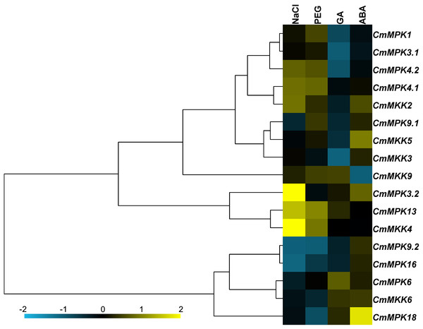 Expression patterns of CmMPKs and CmMKKs under abiotic stress treatments in chrysanthemum obtained by qRT-PCR analysis, and shown as a heatmap.