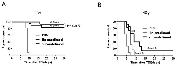 Protection of mice from lethal irradiation by circ-entolimod compared to lin-entolimod.