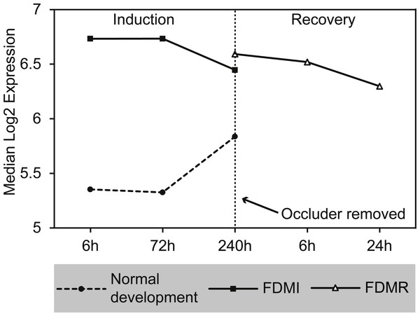 Median expression of core genes in the bile acid and bile salt metabolism pathway during FDM.