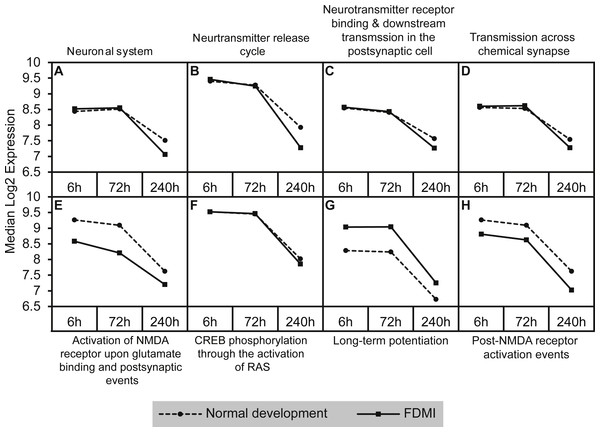 Median expression of pathways involved in neurotransmission during normal ocular development and in FDMI.