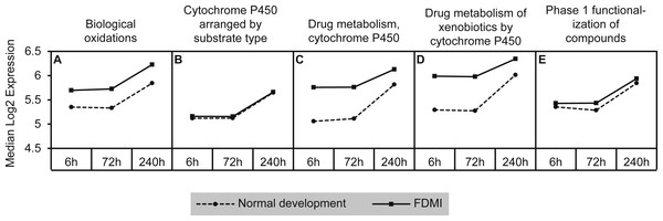 Median expression of pathways involved in cytochrome p450 metabolism.