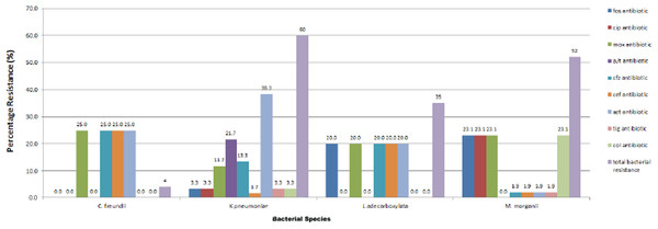 Resistance profile of bacterial strains.