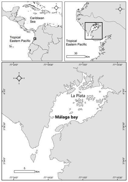 Map of the study area in La Plata Archipelago (Málaga Bay, Colombian Pacific coast).