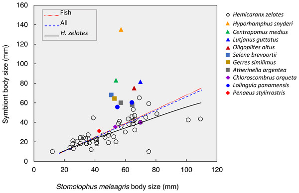 Body size relationships between Stomolophusmeleagris and its symbiotic fauna.