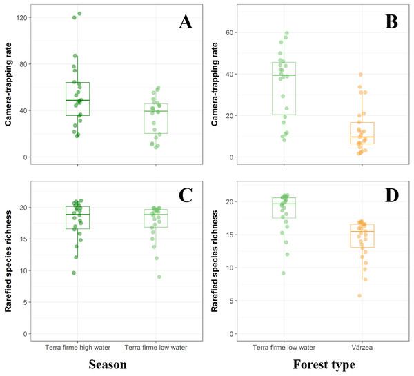 Comparison between terra fime and várzea forests during both the high- and low-water phases of the flood pulse considering both the total abundance and species richness of terrestrial forest vertebrates.