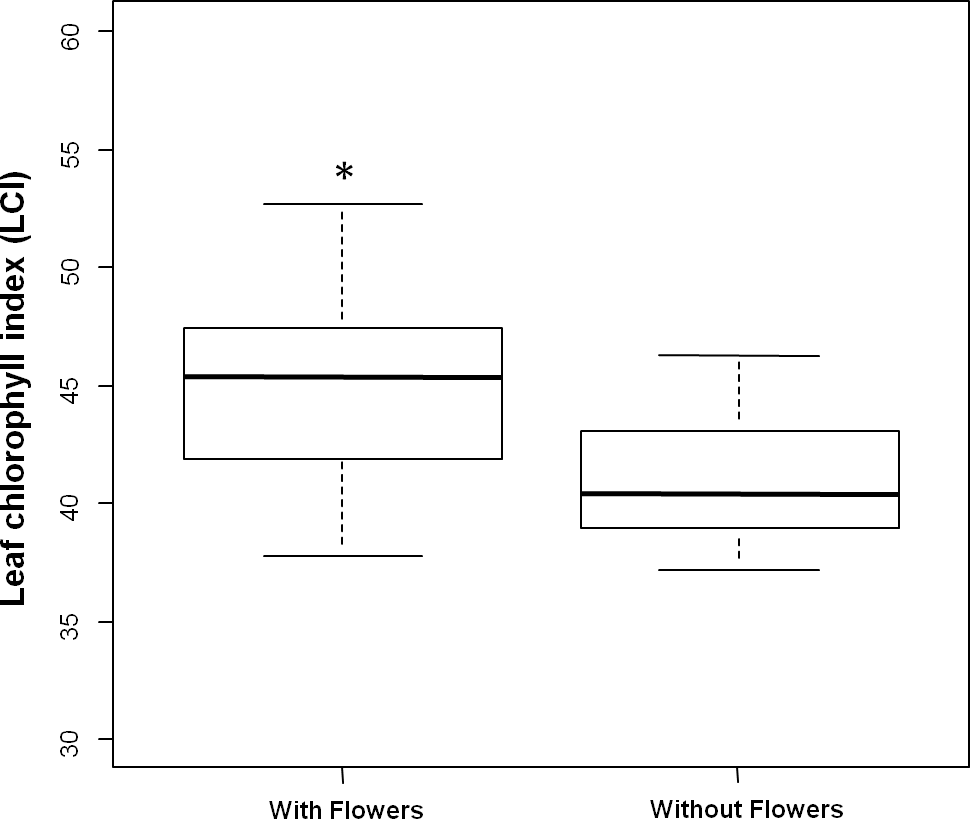 Changes in leaf chlorophyll content associated with flowering and its ...