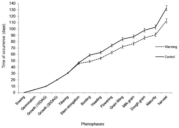 Phenophases occurrence time in both Warming and Control Treatments.