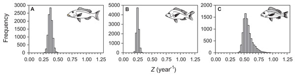 Distributions of total mortality (Z, year−1) from a length-stratified bootstrap resampling procedure followed by multinomial catch curve analysis.