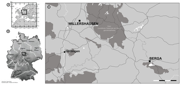 The location of Willershausen and Berga outcrops (Germany) from the late Pliocene.