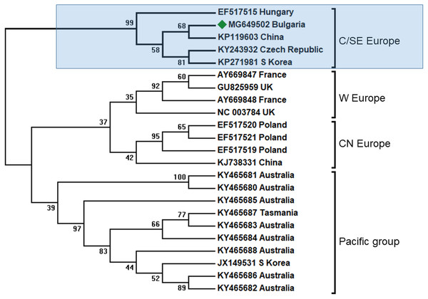 Molecular phylogenetic analysis of black queen cell virus (BQCV) isolates from Bulgaria and other countries.
