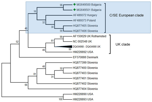 Molecular phylogenetic analysis of acute bee paralysis virus (ABPV) isolates from Bulgaria and other countries.
