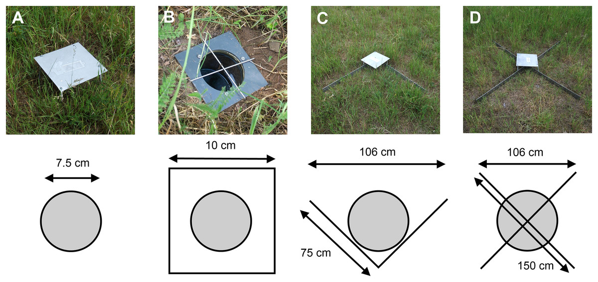 min Kostuum dennenboom It's a matter of design—how pitfall trap design affects trap samples and  possible predictions [PeerJ]