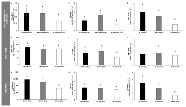 Specific enzymatic activities of dehydrogenase, β-glucosidase and polyphenol oxidase in litter decomposed.