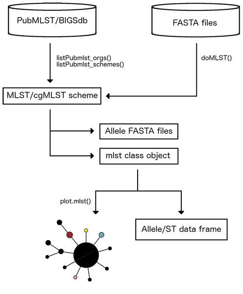 Main steps in MLSTar workflow.