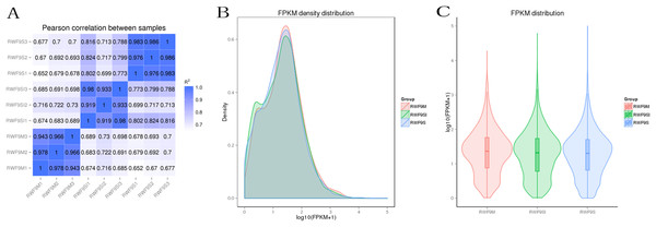 Bioinformatic analyses of RNA-seq data.