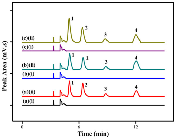 HPLC chromatograms of water samples.