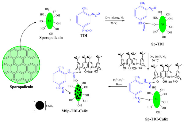 The synthesis pathways of MSp-TDI-calix adsorbent.