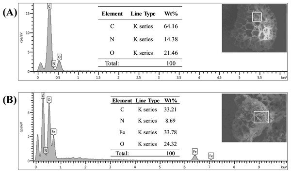 EDX spectra of synthesized adsorbent.