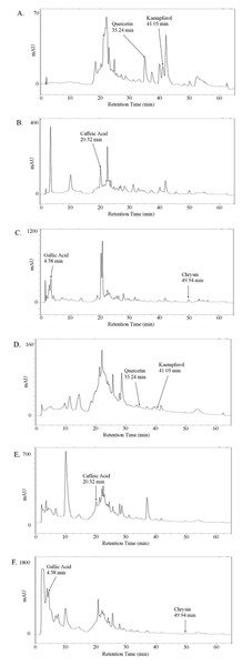 Absorption chromatogram of phenolic compounds in thyme honey using HPLC.