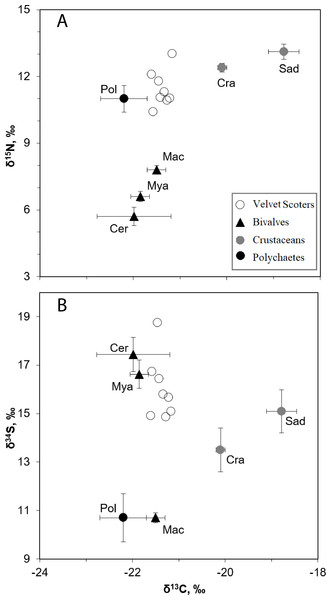 The mean δ34S, δ15N, and δ13C values (±SD) in the Velvet Scoters and potential food sources.