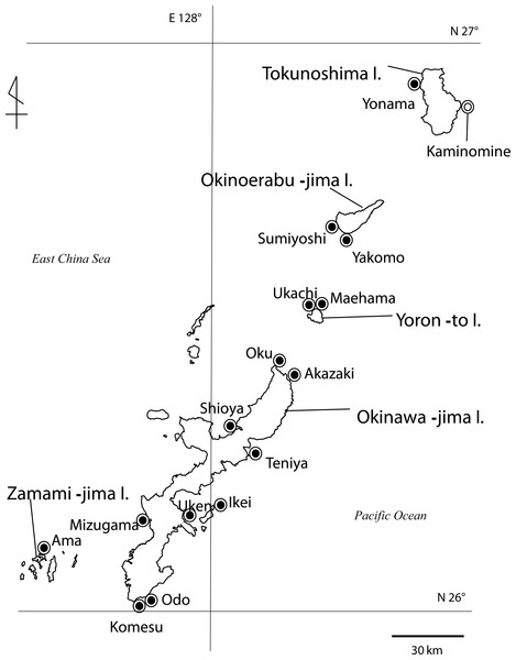 Map of Palythoa species specimen locations in the Ryukyu Archipelago in this study.