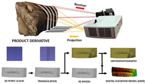 3D scanning using the DAVID structured-light scanner SLS2 and results obtained from data collection.