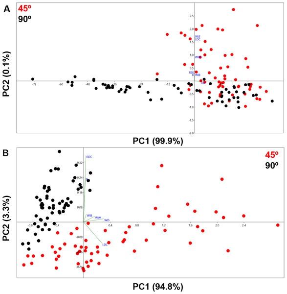 PCA plots in shape space.