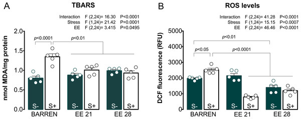 Effects of enriched environment for 21 (EE 21) or 28 days (EE 28) on biochemical parameters associated with oxidative stress in zebrafish brain submitted to unpredictable chronic stress (S+) or not (S−).