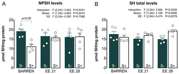 Effects of enriched environment for 21 (EE 21) or 28 days (EE 28) on antioxidant mechanisms in zebrafish brain submitted to unpredictable chronic stress (S+) or no (S−). Non-protein thiols (NPSH) and Total thiol (SH) levels.