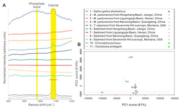 Fossil Eggshell Cuticle Elucidates Dinosaur Nesting Ecology [PeerJ]