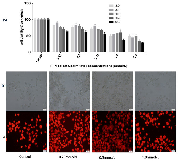 Effects of FFA on cell viability and lipids accumulation in L-02 cells.