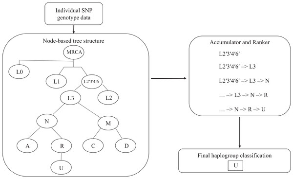 Hi-MC algorithm structure.