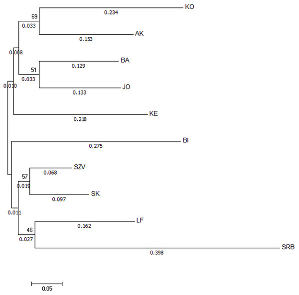 Neighbor-joining tree based on Da distances of microsatellite allele frequency of brown trout samples collected from Hungarian wild streams and hatcheries (LF, SZV) and a wild Serbian one (SRB).
